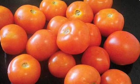தக்காளி விலை ரூ.150!