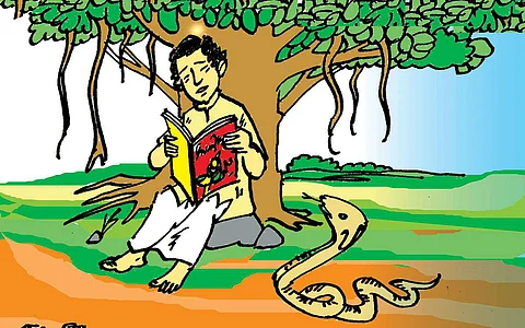 நினைவுச் சுடர்!: விளையும் பயிர்...