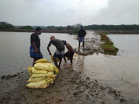 வெட்டாத்தங்கரை சின்ன வடிகால் வாய்க்காலில் ஏற்பட்ட உடைப்பை சரிசெய்த பொதுப்பணித் துறை ஊழியா்கள்.