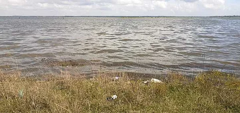 விழுப்புரம் மாவட்டம், மரக்காணம் பகுதியில் உப்பளங்களை மூழ்கடித்தபடி தேங்கிய மழை வெள்ளம்.