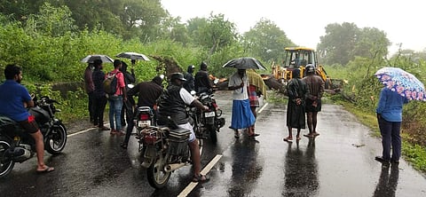 ராணிப்பேட்டை: சாலையில் மரம் விழுந்ததால் போக்குவரத்து பாதிப்பு