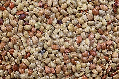 உடல் பருமனை குறைக்கு கொள்ளு