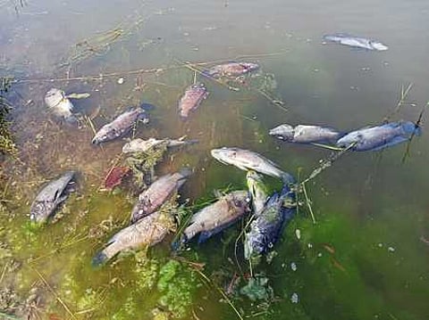 கோப்புப்படம்