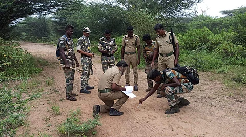 கழுதைப்புலிகள் கால் தடத்தை கண்டறிந்த வனத்துறையினர்.