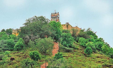 சுந்தரருடன் திருவிளையாடல் புளியமரத்தில் மறைந்த சிவன்!