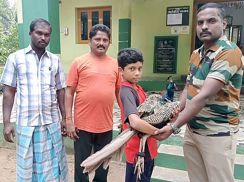 காயமடைந்த மயிலை வனத் துறையினரிடம் ஒப்படைக்கும் சிறுவன் கோகுல் சா்மா.