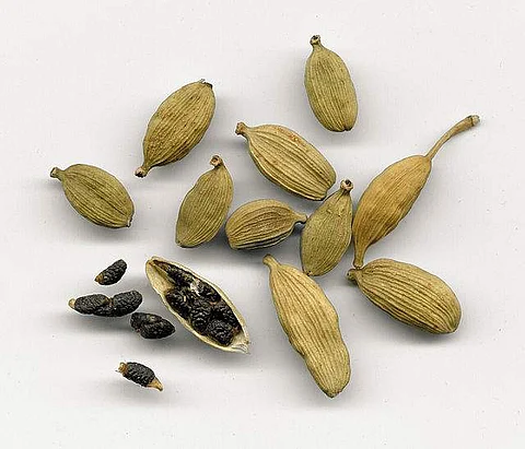 ஆறாத குடற்புண்ணை ஆற்றும் ஏலக்காய்