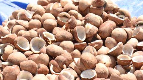 கொப்பரை விவசாயிகள் அதிர்ச்சி