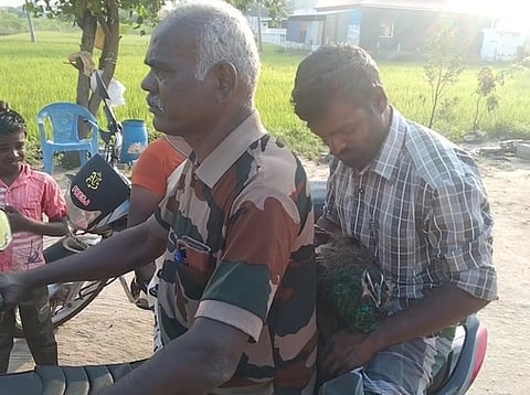 மீட்கப்பட்ட மயில் வனத்துறையினரிடம் ஒப்படைப்பு