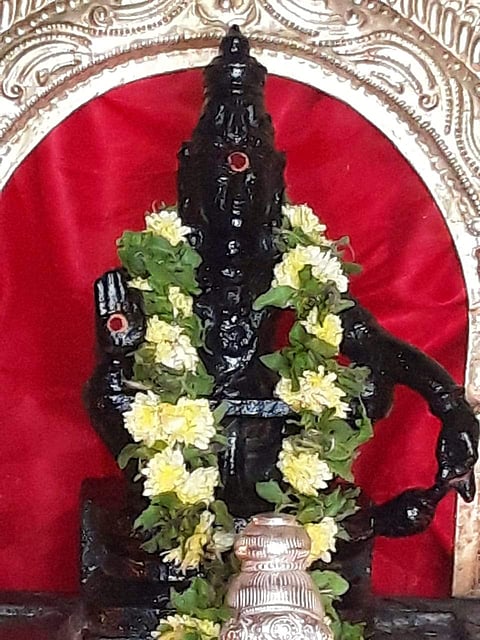 சுருளி மலை ஸ்ரீ ஐயப்பனுக்கு நேத்ர விழி தரிசனம்