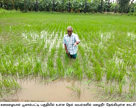 கனமழையால் பூலாம்பட்டி பகுதியில் மழை நீரில் மூழ்கியுள்ள நெல்வயல்கள்.