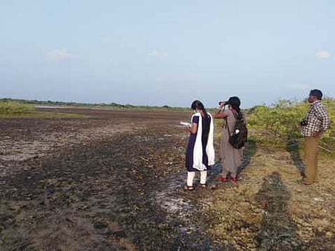 கோடியக்கரை சரணாலயத்தில் பறவைகள் கணக்கெடுக்கும் பணியில் ஈடுபட்டுள்ள வனத் துறையினா் மற்றும் கல்லூரி, பள்ளி மாணவா்கள்.