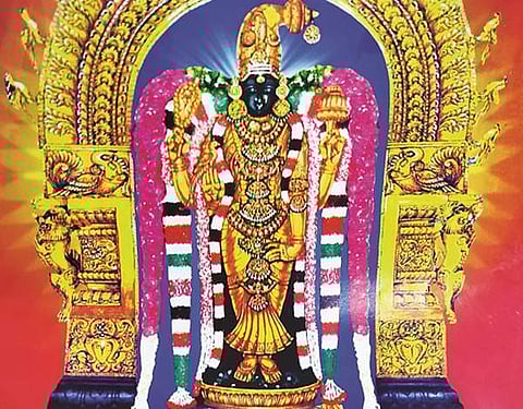 தேவியின் திருத்தலங்கள் 11: சீர்காழி திருநிலை நாயகி