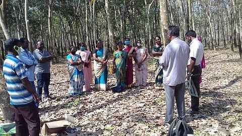 ரப்பா் பால்வடிப்பு பயிற்சியில் பங்கேற்றோா்.