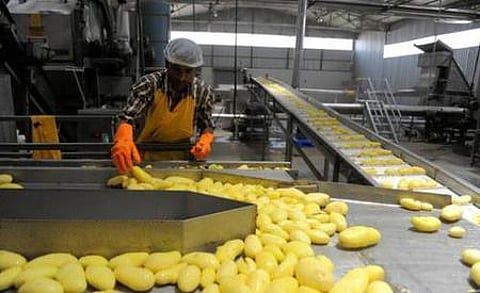 134 உணவுப் பதப்படுத்தும் திட்டங்களுக்கு அனுமதி: மத்திய அரசு