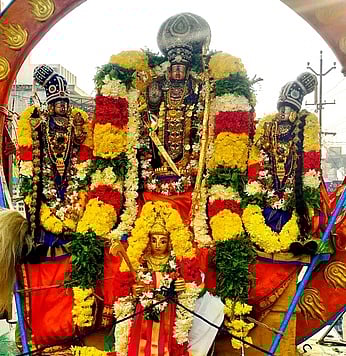 ஆரணியில் ரத சப்தமி மகா உற்சவம்