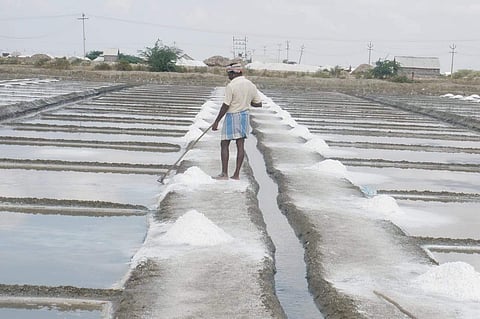 வேதாரண்யம் உப்பளம்
