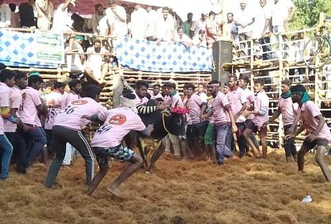 தஞ்சாவூர் அருகே நாஞ்சிக்கோட்டையில் ஜல்லிக்கட்டு