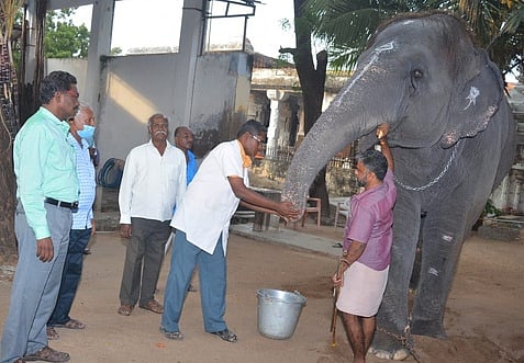 img_20210203_194723_0302chn_54_6