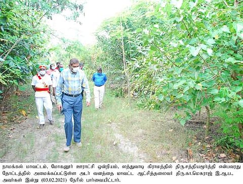 லத்துவாடி கிராமத்தில் அடா் வனம்: ஆட்சியா் ஆய்வு