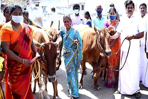 பெரியகோட்டை ஊராட்சியில் பயனாளிகளுக்கு கறவைப் பசுக்களை வழங்குகிறாா் அமைச்சா் உடுமலை கே.ராதாகிருஷ்ணன்.