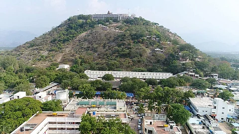 பழனி மலை