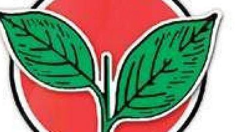 இரட்டை இலை