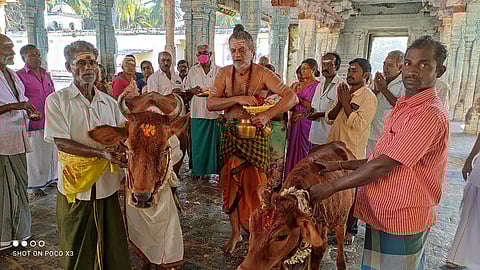 சீா்காழி சட்டநாதா் கோயிலில் நடைபெற்ற கோபூஜை.