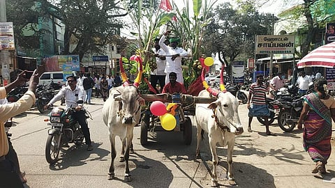மனு தாக்கல் செய்ய மாட்டு வண்டியில் வந்த நாம் தமிழர் கட்சி வேட்பாளர்