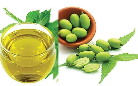 வேப்ப எண்ணெய்யின் மருத்துவ குணங்கள்!