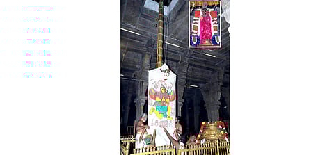 பங்குனித் தோ்த்திருவிழாவையொட்டி தங்கக் கொடிமரத்தில் ஏற்றப்படும் கொடி. (உள்படம்) ஸ்ரீநம்பெருமாள்.