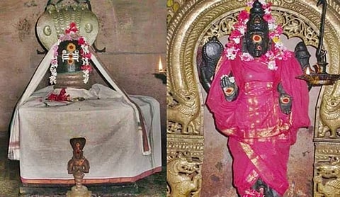 பாம்புரநாதர் உடனுறை வண்டுசேர்குழலி அம்மன்