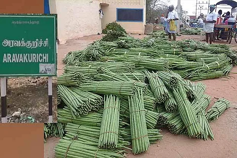 அரவக்குறிச்சியில் விளைந்துள்ள முருங்கைகள்