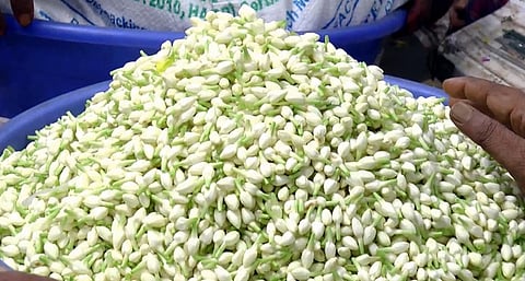 நெல்லையில் மலிந்தது மல்லிகை விலை