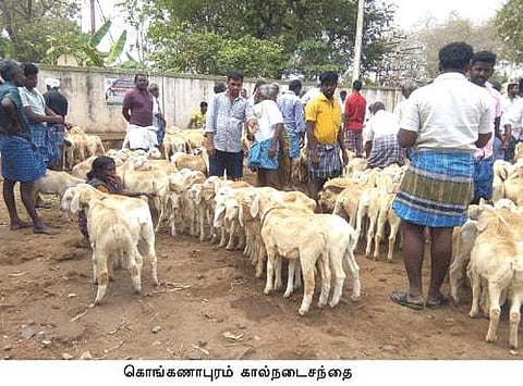 கொங்கணாபுரம் கால்நடைச் சந்தையில் விற்பனை சரிவு