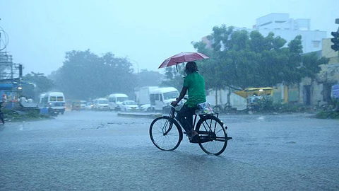 Heavy rain warning for 7 districts