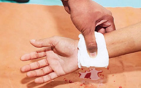 ரத்தத்தின் ரத்தமே... - 12