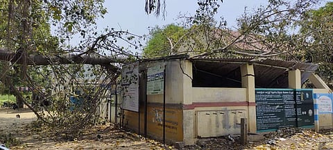 அரசுப்பள்ளி கட்டடம் மீது ஆலமரக்கிளை ஒடிந்து விழுந்தது: பெரும் விபத்து தவிர்ப்பு