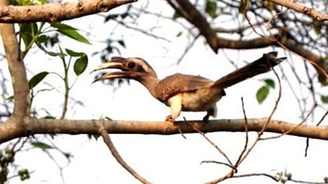 கோப்புப் படம்