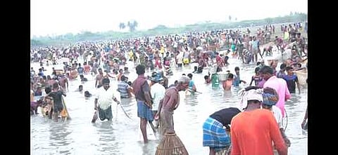 மதுரை மாவட்டம் திருவாதவூா் பெரிய கண்மாயில் சனிக்கிழமை நடைபெற்ற மீன்பிடித் திருவிழாவில் ஆா்வமுடன் மீன்பிடித்த கிராம மக்கள்.