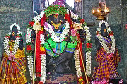 சிறப்பு அலங்காரத்தில் நன்செய் இடையாறு திருவேலீஸ்வரா் கோயிலில் எழுந்தருளியுள்ள வள்ளி, தெய்வானை சமேத முருகப் பெருமான்.