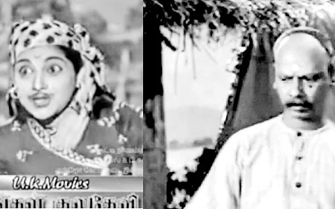 சினி பிட்ஸ்