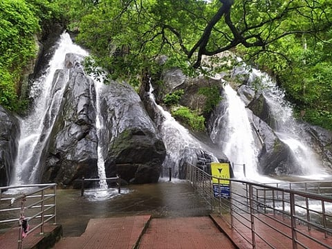 ஐந்தருவியில் கொட்டும் தண்ணீா்.