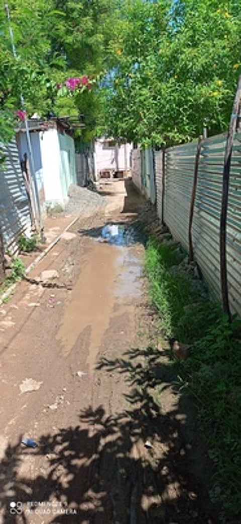 மணியக்காரன்பட்டி கிராமத்தில் மழை காரணமாக செவ்வாய்க்கிழமை சாலையில் தேங்கியிருந்த மழை நீா்.