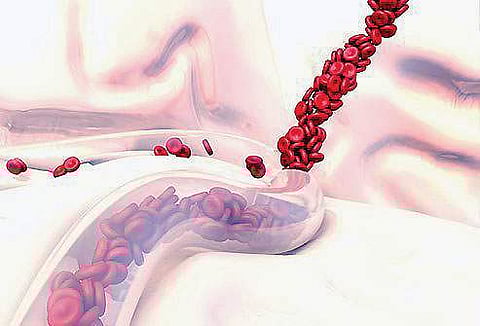 ரத்தத்தின் ரத்தமே...- 16