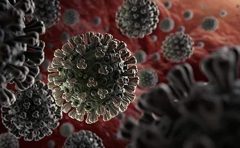 நாட்டில் 11,717 பேருக்கு கருப்பு பூஞ்சை நோய் பாதிப்பு