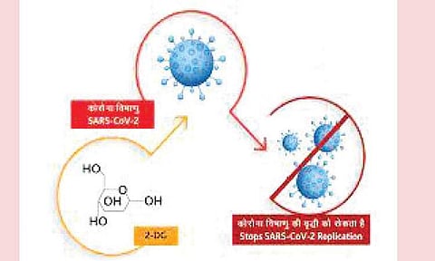 புதிய மருந்து கண்டுபிடிப்பு!
