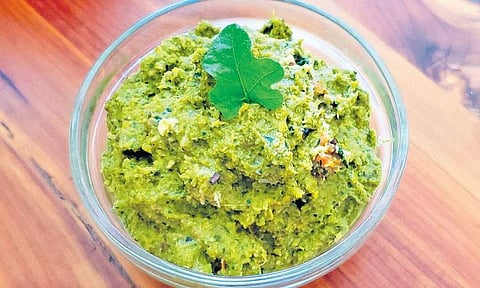 தூதுவளை - புதினா துவையல்