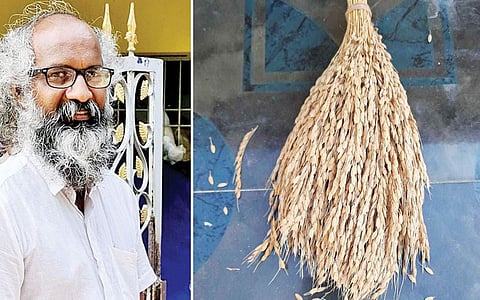 நெல் வகைகள்- அசத்தும் விவசாயி