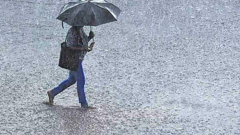 பரவலாக மழை